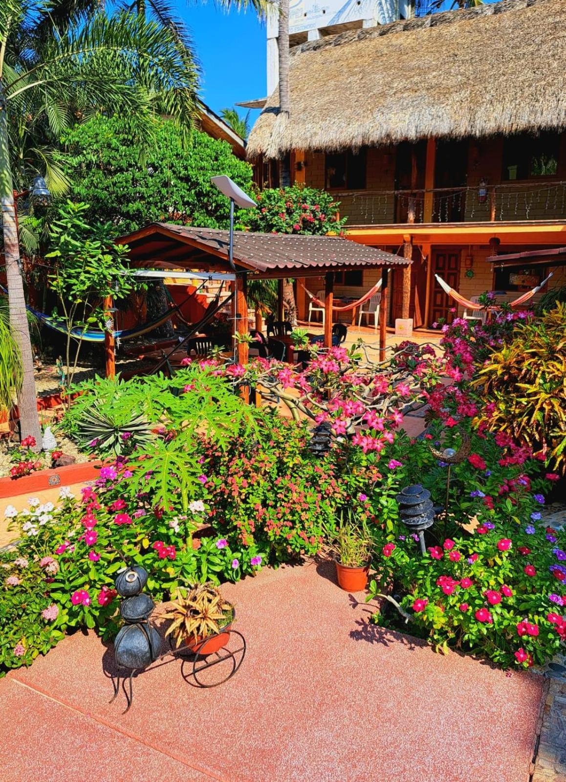 Hotelito Swiss Oasis, Playa Zicatela - Adults Only - Kitchen - Cocina 3*