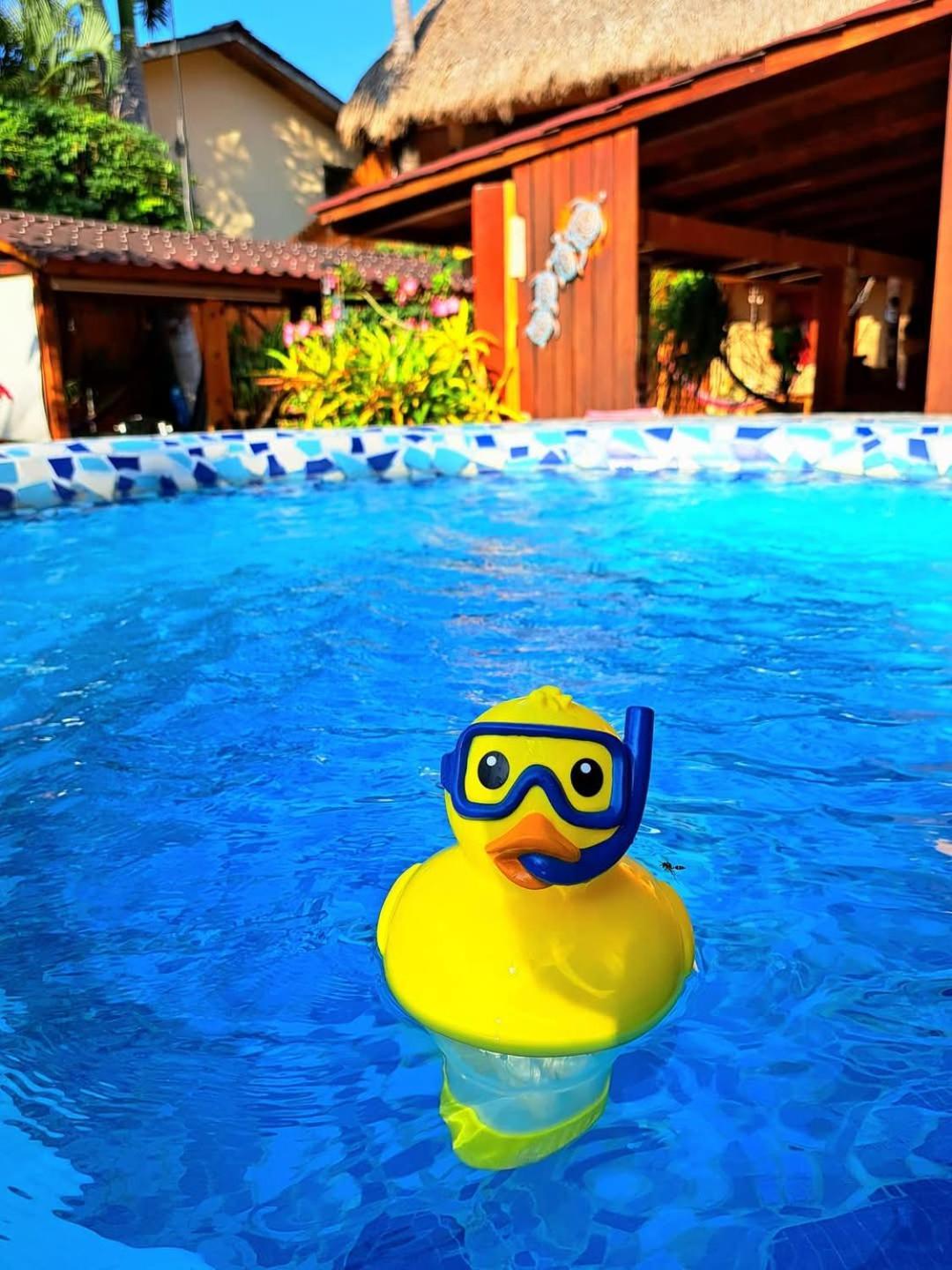 Hotelito Swiss Oasis, Playa Zicatela - Adults Only - Kitchen - Cocina