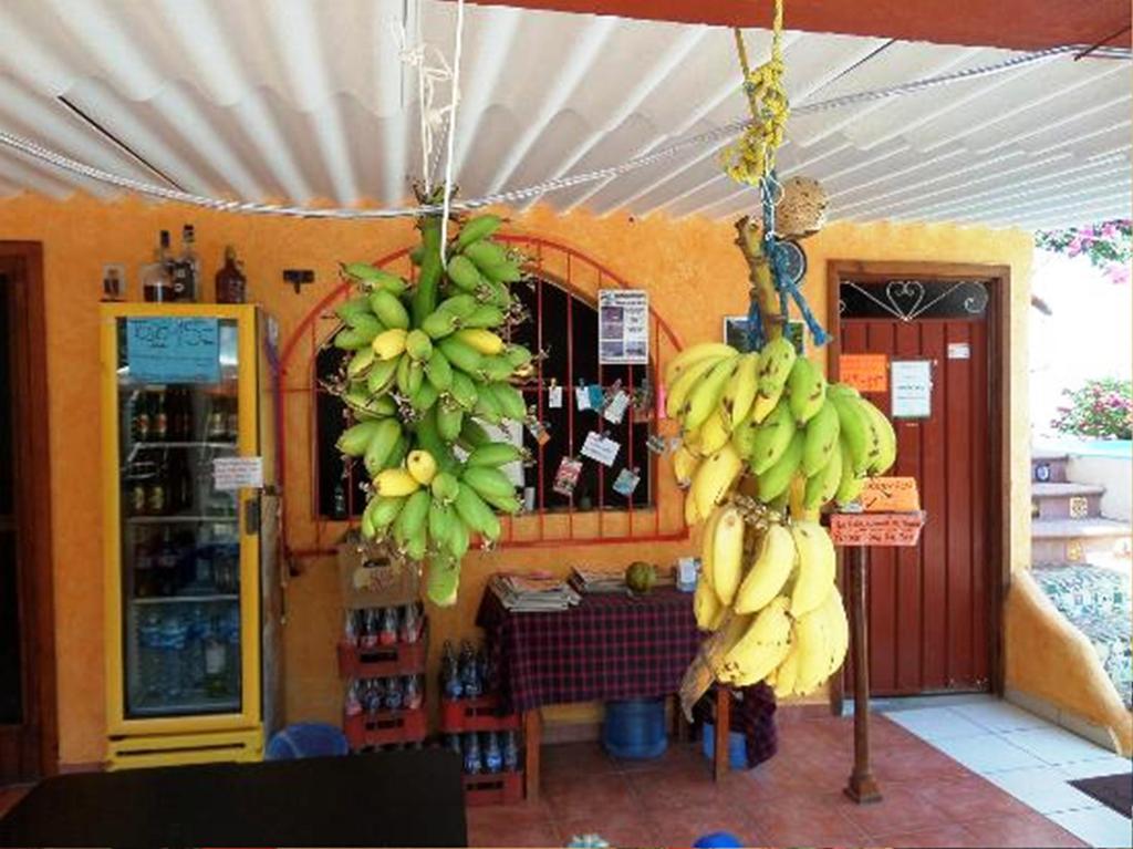 Hotel Hotelito Swiss Oasis, Playa Zicatela - Adults Only - Kitchen - Cocina 3*